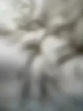 guccititi online show from November 12, 4:16 pm