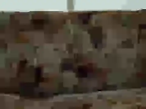 priya patel online show from September 12, 7:18 am