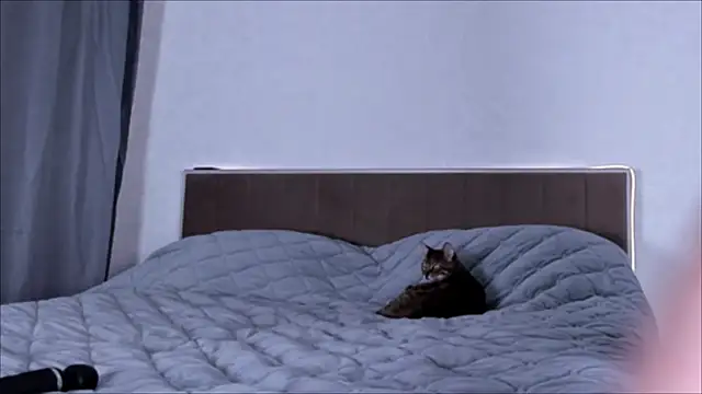 Misa queen online show from November 9, 11:39 am