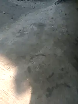 Sexy-nandani-baby online show from November 22, 7:00 am