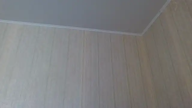  Black-Panther  online show from September 19, 11:53 am