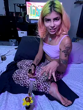 Harley cams online show from October 2, 4:06 am