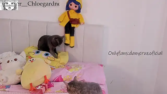 chloee gardner online show from October 21, 8:35 pm