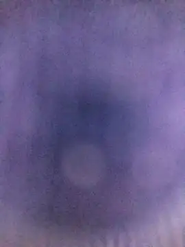 ranisingh1234 online show from September 13, 3:53 pm