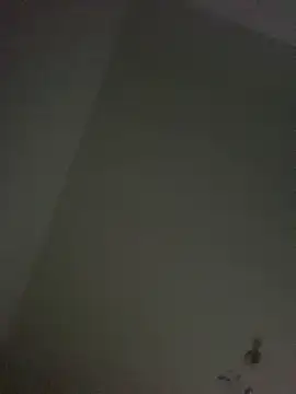 cariocasafada online show from July 3, 4:51 am