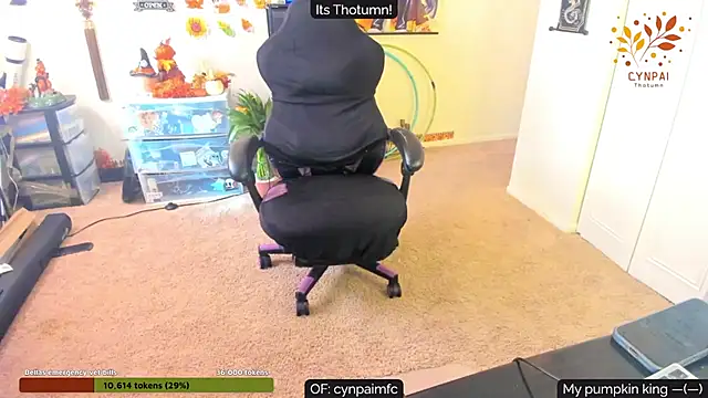 Cynpai online show from September 30, 7:52 pm