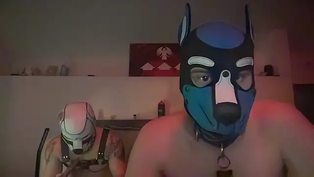 SachaBranco online show from November 5, 11:32 pm