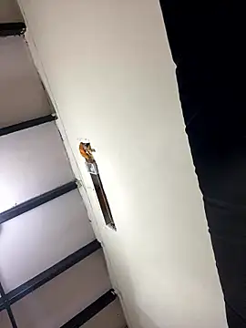 NattashaMore 0719 online show from January 11, 10:42 am