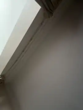 Regina69slut online show from July 5, 5:13 am