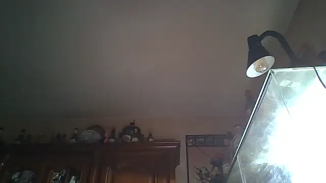 zipman92 online show from January 5, 8:34 pm