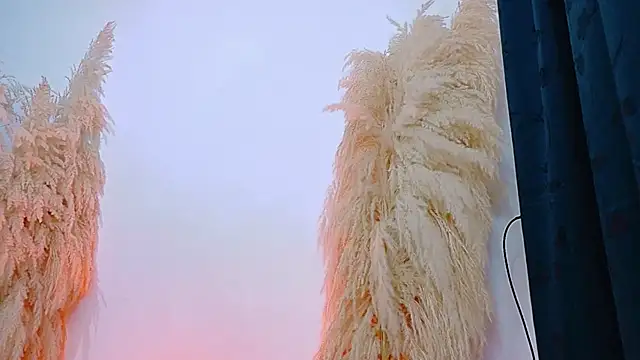 JulietaDavis online show from February 20, 9:33 am