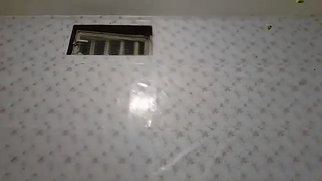 Roselingalvis13 online show from February 2, 2:43 am