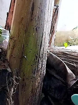 Tina 2pp online show from September 26, 6:11 am