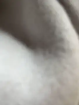 Daisy018 online show from September 25, 3:05 am