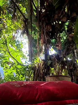 Many lize online show from September 23, 11:47 pm