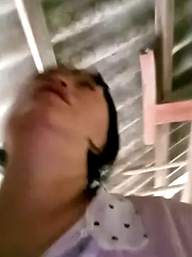 maple694 online show from November 9, 6:20 am