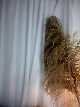 Sofi Leal online show from February 24, 12:48 pm