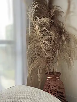 Sofi Leal online show from November 5, 12:10 pm