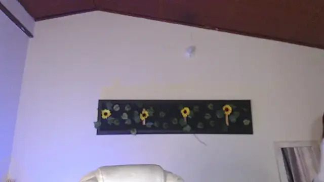 gabriella live online show from November 29, 7:29 pm