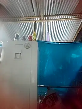 Lily-o online show from November 22, 10:45 pm