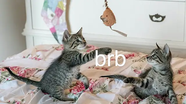 Pink girl0n online show from March 25, 11:51 pm