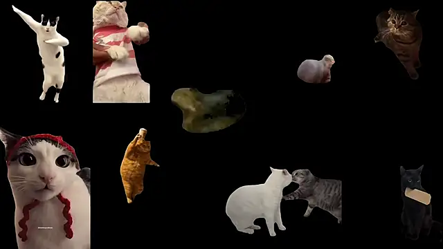 ch0wn m online show from November 18, 3:46 pm