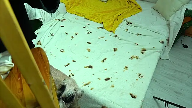 Sova173 online show from September 9, 5:02 pm