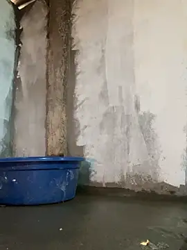 Sunny lotus online show from April 16, 5:19 am