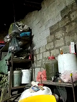 Sunyinn online show from February 3, 2:53 am