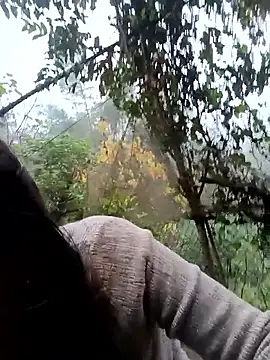 optra34 online show from January 16, 12:28 am