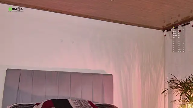 tivendann online show from December 23, 3:54 am