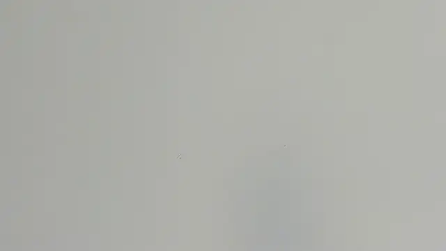 Megan Sweetas online show from September 26, 8:06 pm