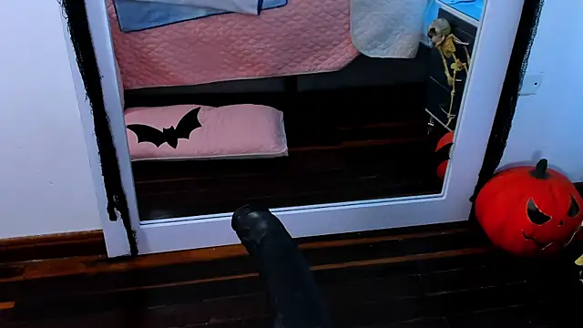 AdeleJhones online show from October 29, 1:15 pm