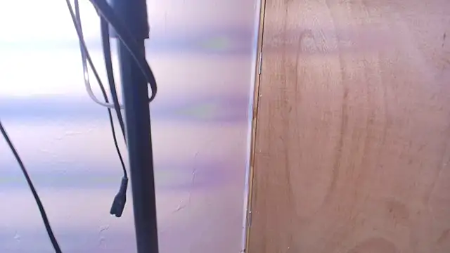 Terraelowen online show from February 24, 11:20 am