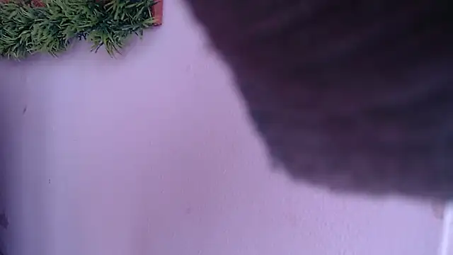 IVONNE COLLINS33 online show from September 24, 1:43 pm