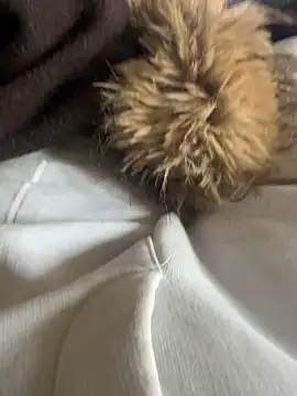 LesAmantsAE2 online show from February 15, 10:14 am