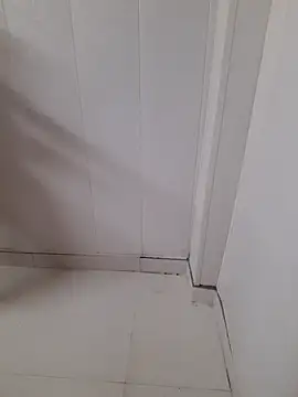 Sony-rani online show from September 24, 1:54 pm