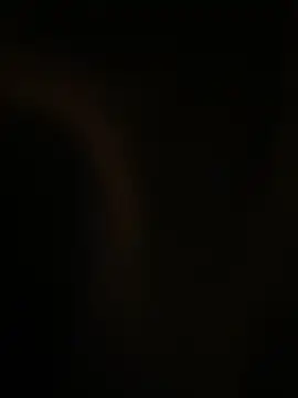 Wanda Wild online show from October 20, 6:16 am