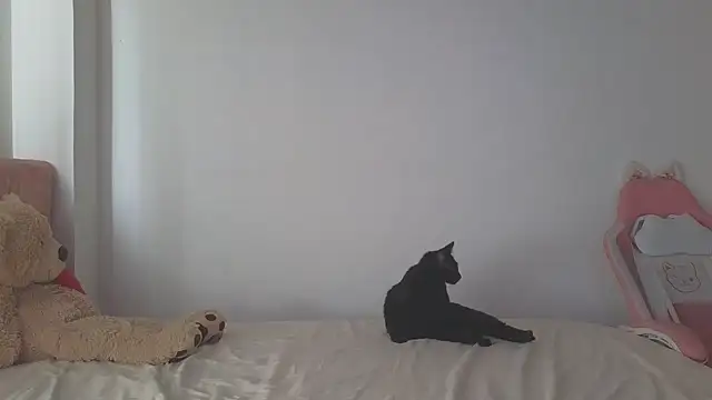 Crystal Star  online show from October 7, 2:10 pm