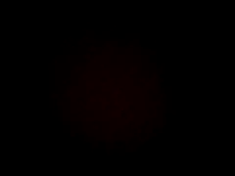 Lizbeth Rouse online show from December 19, 11:57 am