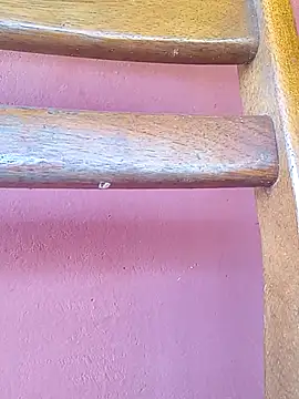 RaphinhaSanches online show from April 7, 2:08 pm