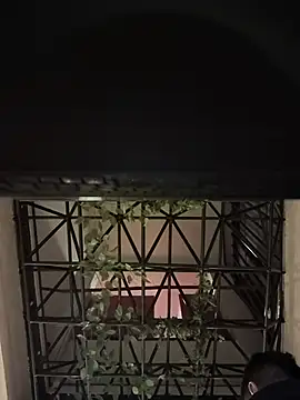 Juann-cock online show from June 2, 3:29 am