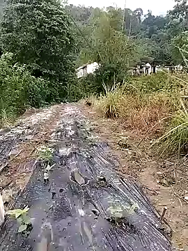 linda bae00 online show from September 14, 3:04 am