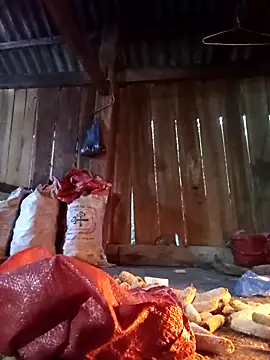 Ngocmi909 online show from December 13, 11:32 pm