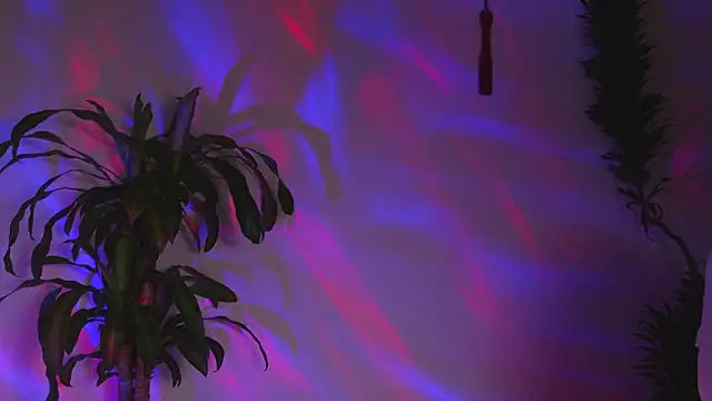 bri von dhara   online show from March 7, 12:17 am