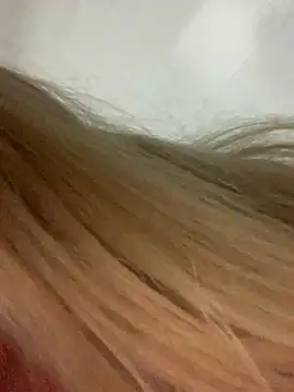 loiragoxtosinnha online show from November 28, 3:42 am