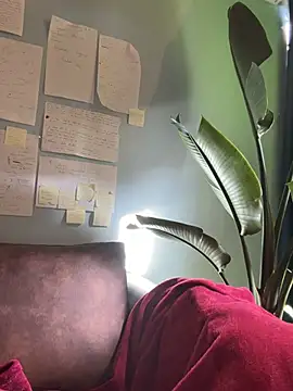 Canneela online show from March 14, 9:05 pm