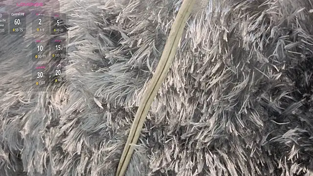 mariangellive online show from October 10, 3:55 am