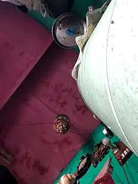 Pooja750 online show from March 14, 8:15 am