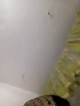 Payal950 online show from April 21, 11:17 am